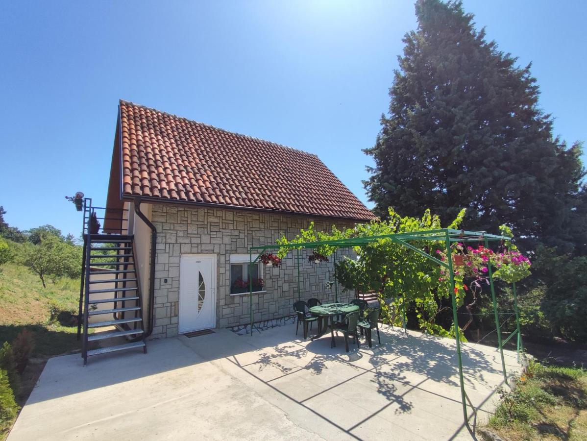 Milicin Konak Vrdnik Bagian luar foto